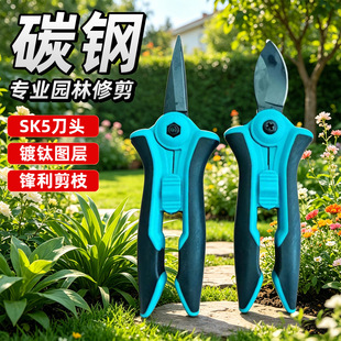 �@ˇ������֦�������߹�����֦���������ժ����ʡ������ժ������