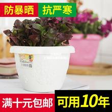 树脂花盆多肉加厚桌面矮胖家用阳台室外塑料圆绿萝吊兰花盆花博士