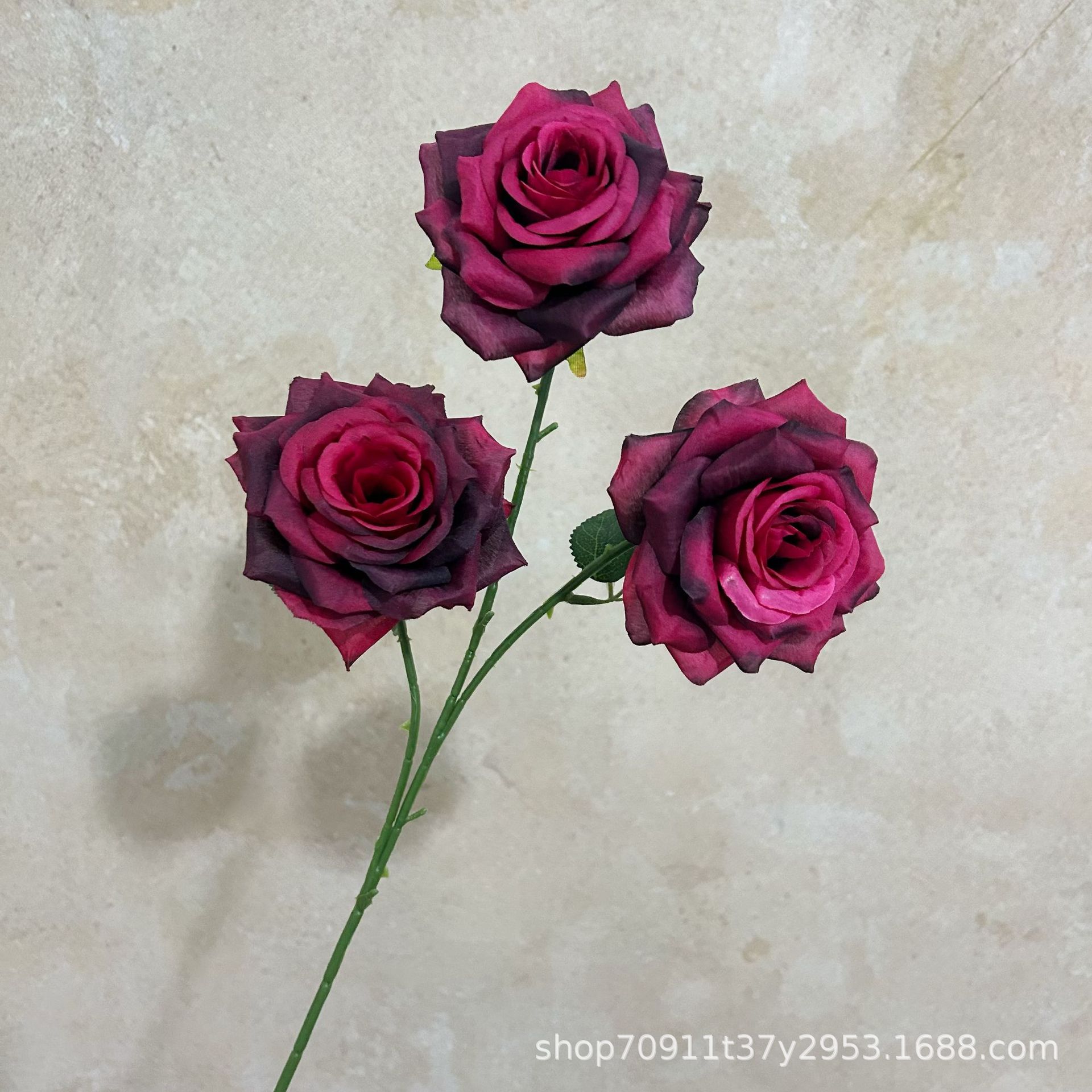 잎이 있는 검은색 빨간색