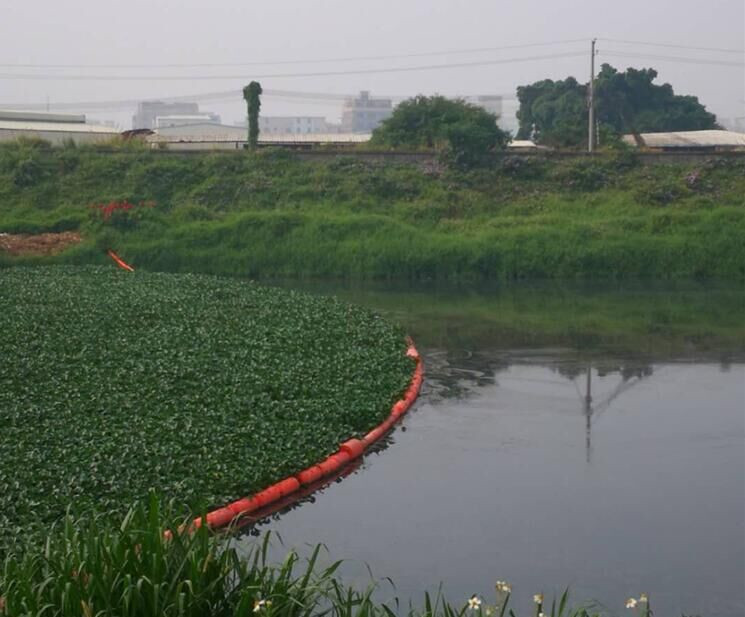 QQ图片20190916172612_副本