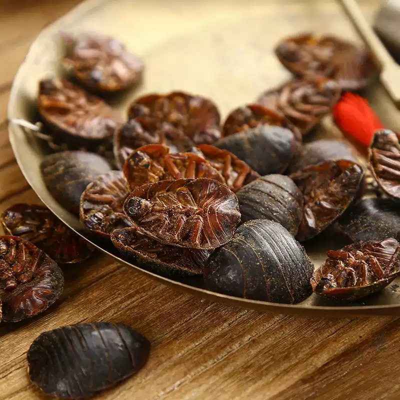 Tu Yuan Dried Ground Beetle Whole Insect TCM Herb 500g Shandong Origin quality and texture