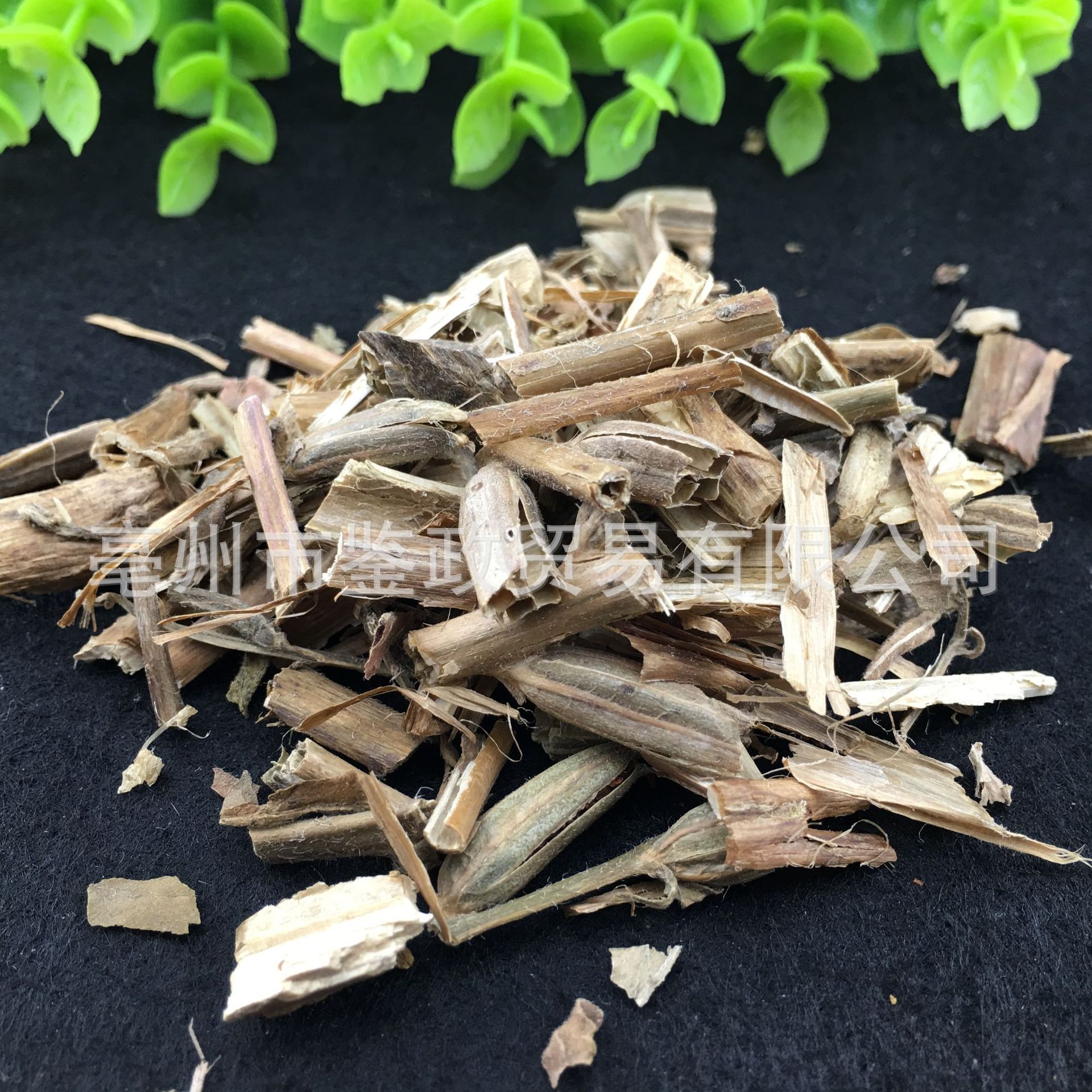 Evening Primrose Herb Yue Jian Cao Dried Loose Herb 500g Bag for Decoction and Grinding quality and texture