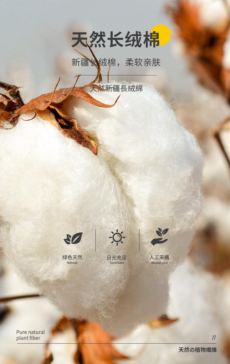 04百分百植物纤维