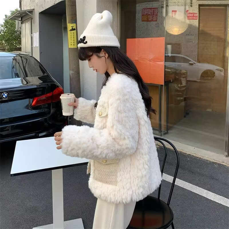 Thickened  style lamb wool coat for women 2023 autumn and winter all-matching new outdoor plush loose top ins fashion_voghion.com