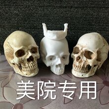 厂家直销1:3迷你仿真小骷髅头模型头骨艺考培训素描绘画教学参考