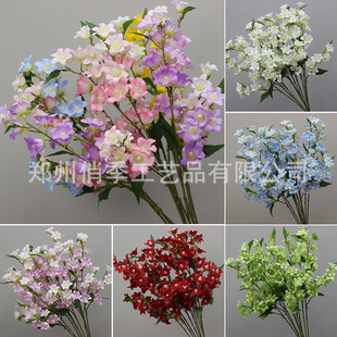 ���滨�ٻ��L����첼����Y���bٻ��廨������̨�̈��쾰�b�