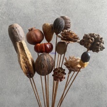 ������Ȼ�ɻ��ɹ��b[����@�L��Ҿ����ޔ[�O�廨�����Ĕz����