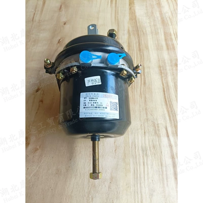 The spring brake Steering gear assembly