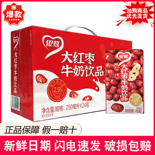 Yinlu Big Red Date Milk Drink Box Whole Box Nutritious and Healthy Student Breakfast