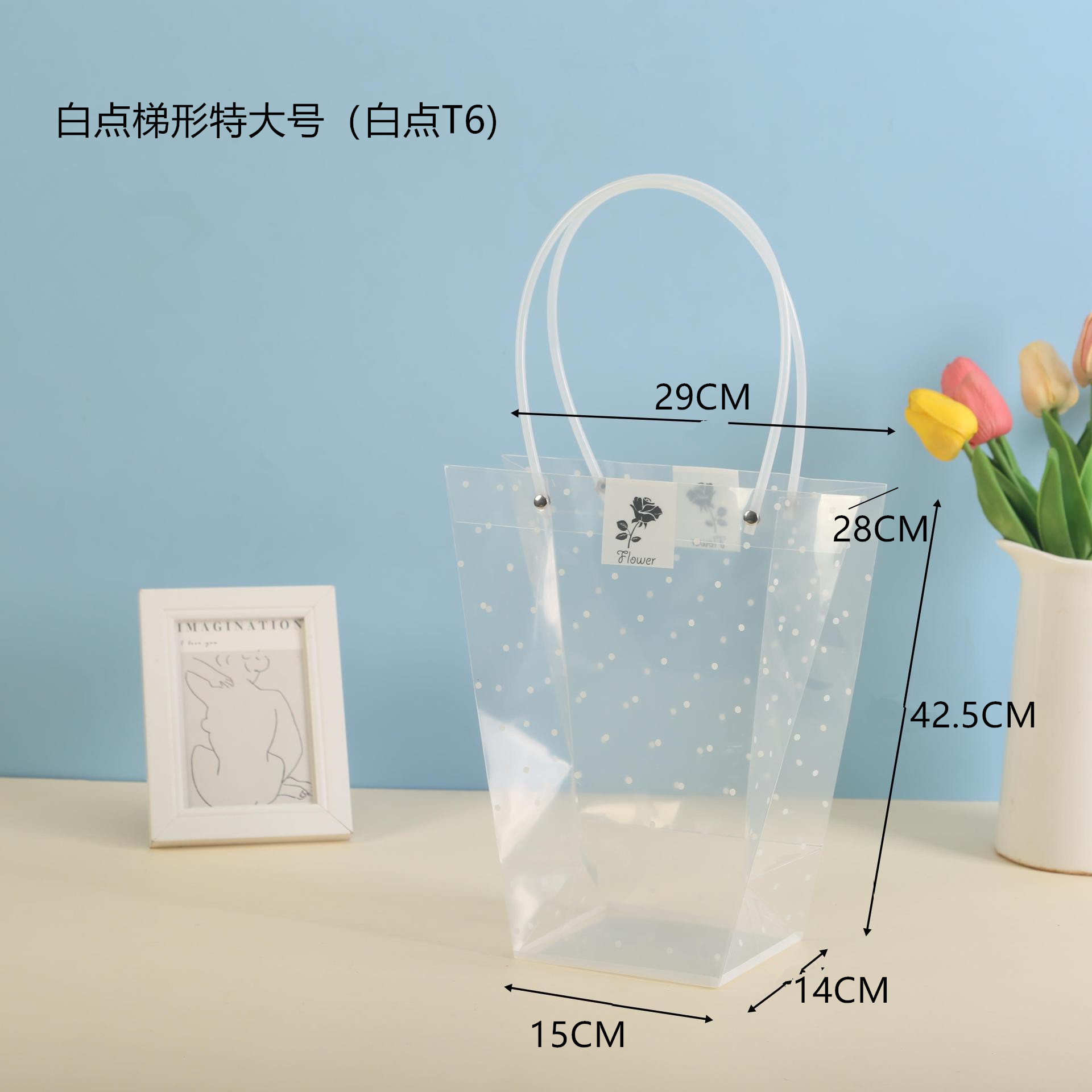 白点T6.jpg