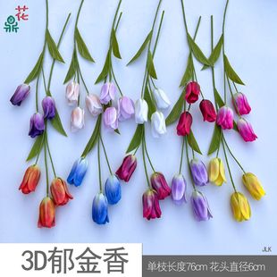 3D������ 3�^����������  �ߙn�߼��Ҿ��bٻ��[���zӰ�������l