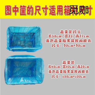 ���r��Ĥ���߲˿�Ĥ�����Ͽ����r���{ɫƽ�ڱ��r���߲˷��F�¿�