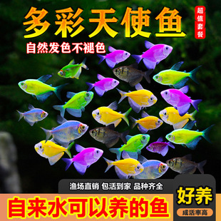 ��ʹ�~�߲��~�������O���t��ʹ�G�ϻ��Ꭷ���~�^�p�~�߲ʻ��ˮ��