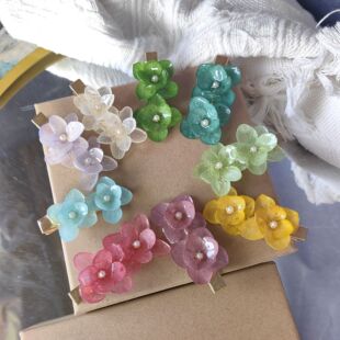 Plant Original Design Dripping Glue Clip Girl Mori Style Simple Temperament Dried Flower Headwear Side Clip Hairpin Small Hairpin for Women