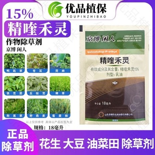 ���� �e�� 15%��୺��` �����[�������S�����������̱��� ���݄�