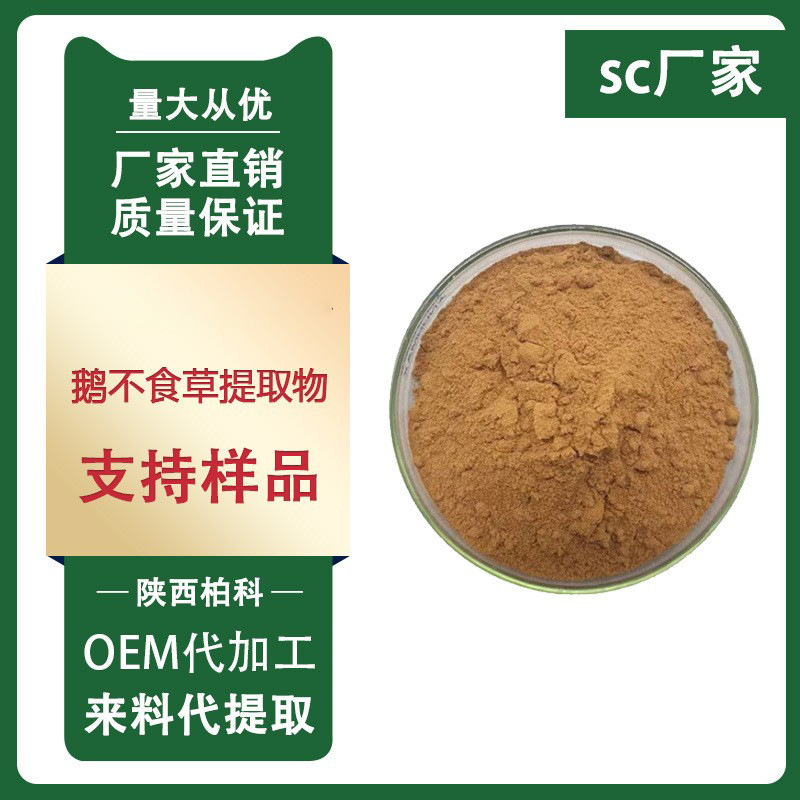 鹅不食草提取物 20:1 石胡荽/鹅不食草全草浓缩粉 1kg/袋现货供应