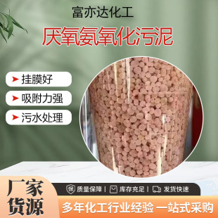 �����w���������������ˮ̎��Ó���t������w�� ������������