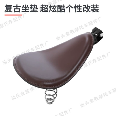 Motorcycle cushion: Accessories Retro Spring Leather