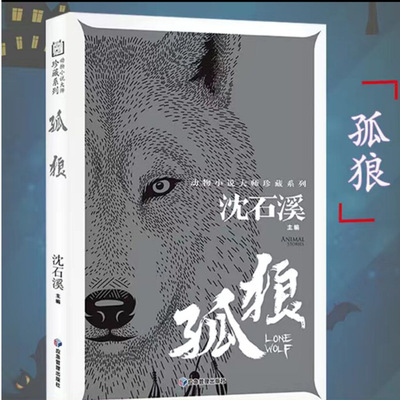 沈石溪動物小說孤狼壹二三四五六年級課外青少年兒童文學圖書