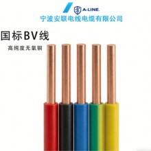 ���Ƈ���BV��RV��450/750V70��