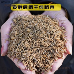 �i�S�ɰl��ţ�SÓˮ�S�㵾���I�B͸������������ǠI�B������̫��