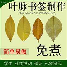 叶脉书签diy材料 学生实验制作树叶标本免煮半成品树叶书签diy材