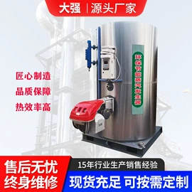 蒸汽发生器;燃生物质锅炉;燃煤锅炉