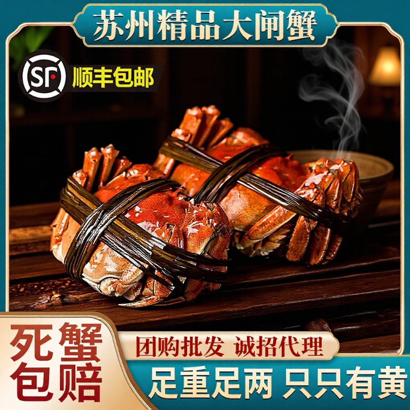 批发现货苏州大闸蟹鲜活螃蟹单只净重大公蟹母蟹顺丰包邮礼盒装