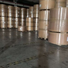 金东135克140克涂布白牛皮纸食品级白牛皮纸