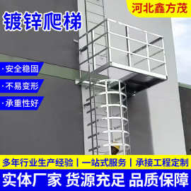 镀锌爬梯 国标屋面检修梯登高梯不锈钢爬梯消防检修梯子直爬梯