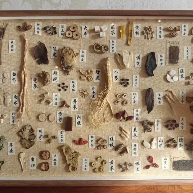 Finished traditional Chinese medicine specimen display frame, handmade Chinese herbal medicine decoration, traditional Chinese medicine culture wall, cultural and creative product, medicinal and food herbs are of the same origin, framed display Finished traditional Chinese medicine specimen display frame, handmade Chinese herbal medicine decoration, traditional Chinese medicine culture wall, cultural and creative product, medicinal and food herbs are of the same origin, framed display
