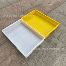 大号长方形塑料方盘加厚塑胶浅盘5号周转胶盘物料黄粉虫养殖盒