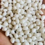纺织粒子副牌白色颗粒