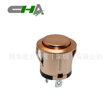 ���A ���o�_�P僽��Դ�_�P /���i���o�_�P/�Cе�O���������_�P