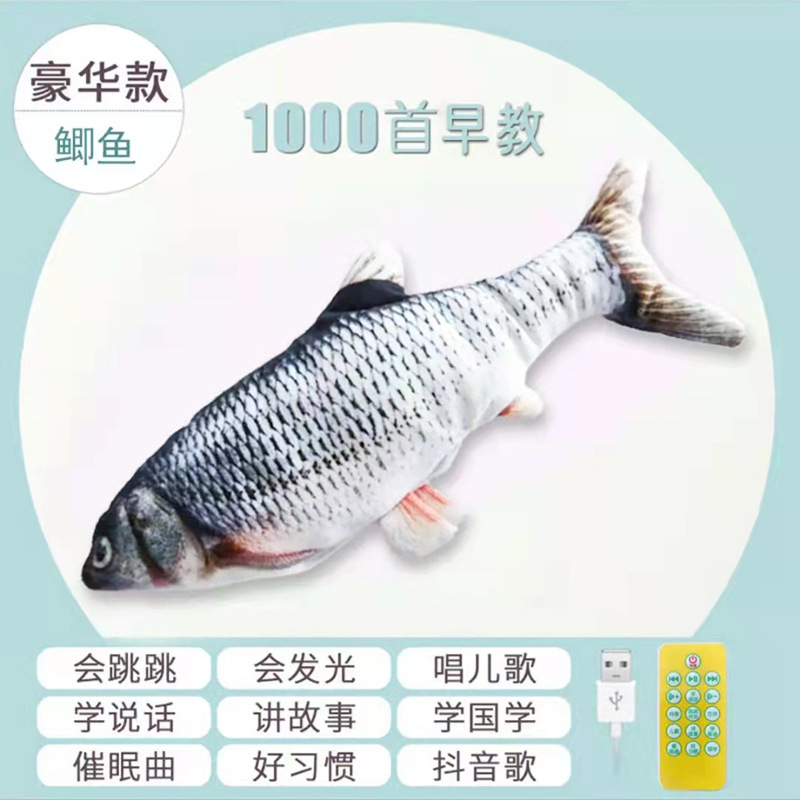 遥控鲫鱼