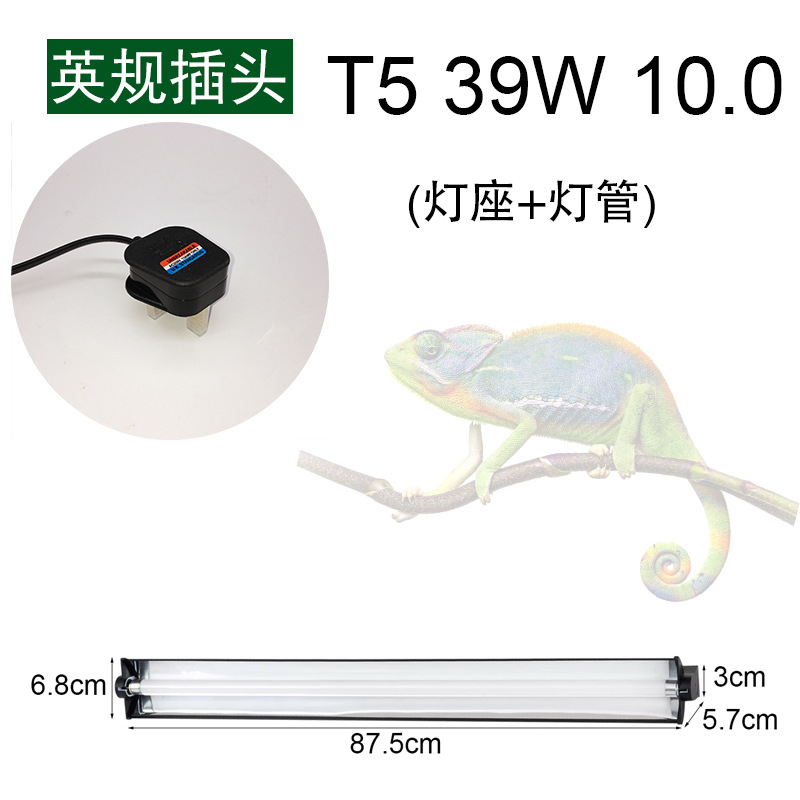 영국 표준 플러그 T5 39W 10.0(램프 홀더 + 램프 튜브)
