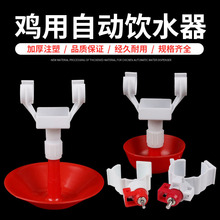 厂家批发鸡用饮水器饮水碗育雏鸡自动饮水器乳头饮水碗接水杯小鸡