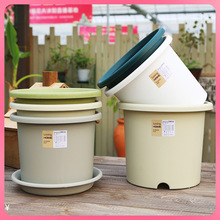 ���ļ����豱�W���s����Ӂ�������Deepot��̖�����̨�G�}���ϻ�