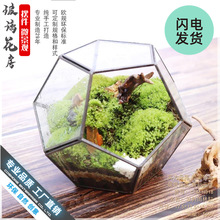 厂家直销爆款十二面体中玻璃花房绿植透明创意苔藓微景观多肉花盆