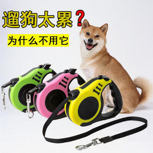 Dog Leash Automatic Retractable Dog Walking Rope Small Size Dogs Teddy Corgi Nylon Dog Leash Cat Collar Traction