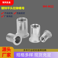 �S��ֱ�N��\ƽ�^���T��ĸƽ�^�Q�y���T��ĸ�_���T��ĸ�ߏ�����ĸ