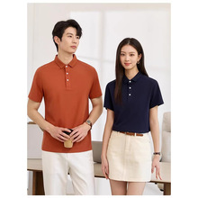 �ļ����������polo����ʿ���ݿ�������������I�̄����e����