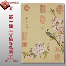 uһҴBDPBDƷˇg΢Rġ