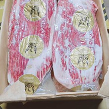 澳洲金凤凰牛腩排4-5 6-7 8-9 9+ 和牛203厂原切牛排冷冻牛肉