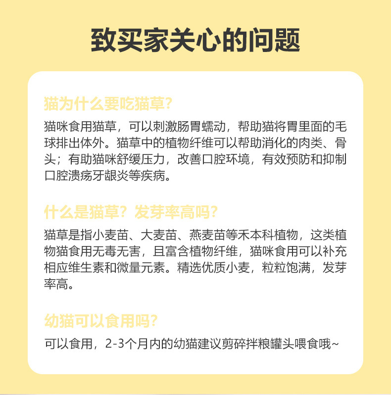 卡通猫草盆栽种子成幼猫咪去毛球懒人猫草盒猫咪水培猫草水培盒详情1