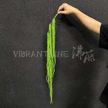 ����Gֲ�ڒ����˜I�쾰��Y�Ĕz���߼Ҿ�ܛ�bֲ���ˇ�~�����l