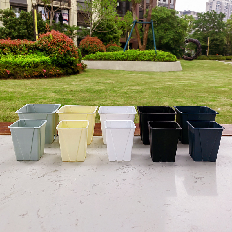 Thickened Succulent Flowerpot Cactus Lithops Jade Dew Small Black Square Plastic Root Control Pot Bracket Finishing Frame