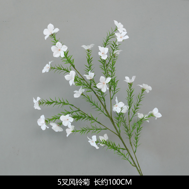 5 fork wind chrysanthemum chrysanthemum