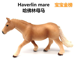 �����Rģ�͹�����ĸ�Rģ�ͼҾ��k���Ҕ[���h���o���oζ�羳