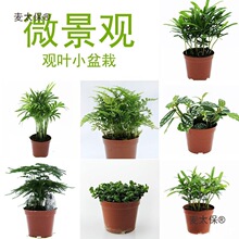 ���^�^�~С�~�_�h�Ʉ���С��������Ҭ����βާ��ˮ���������̫��